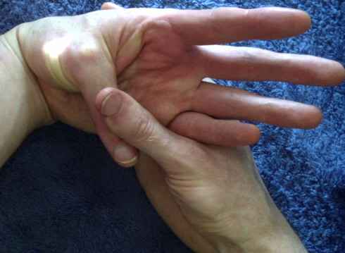Forward fold : thumb, first knuckle