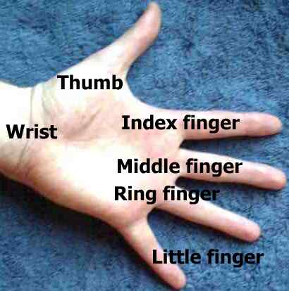 Finger names
